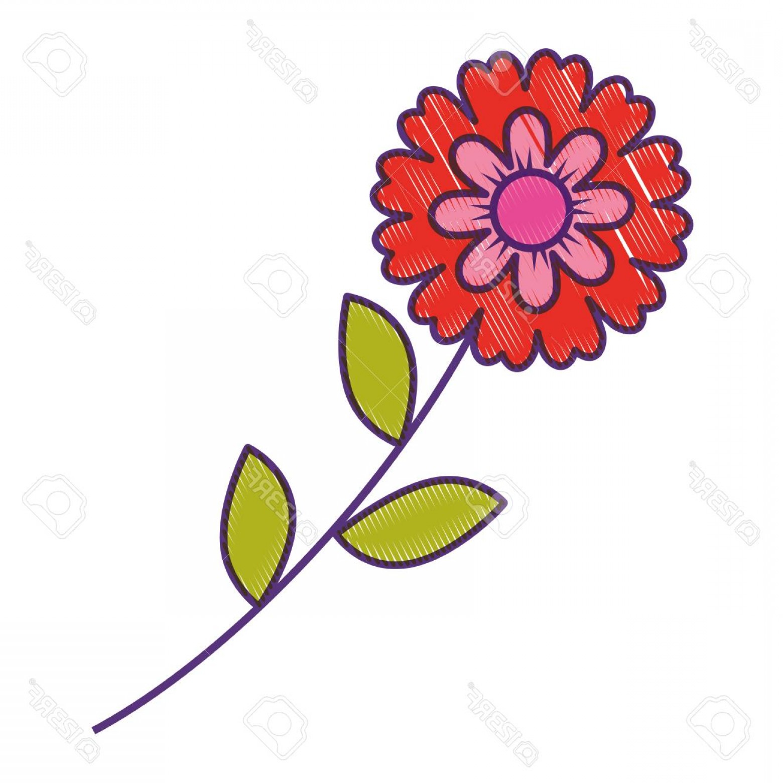 Vector Flower Stem Design Soidergi 1560x1560 Vector Flower Stem Design Soidergi