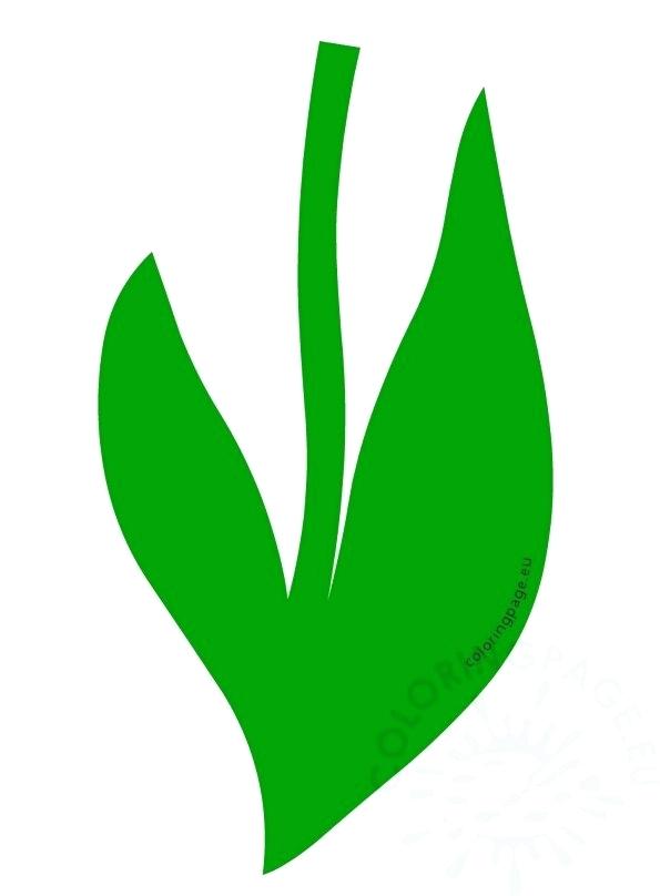 Flower Stem Coloring 595x808 Flower Stem Coloring