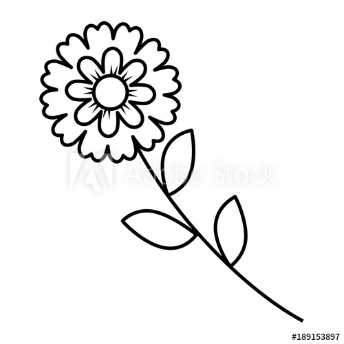 Flower Stem Leaves Nature Petals Decoration Vector Illustration 500x500 Flower Stem Leaves Nature Petals Decoration Vector Illustration