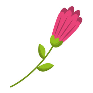 Flower Stems Royalty Free Vectors 300x300 Flower Stems Royalty Free Vectors