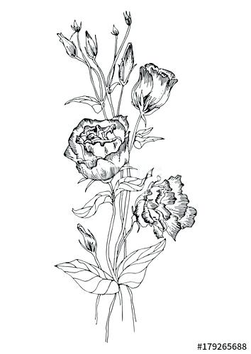 Flowers With Stems Vector 354x500 Flowers With Stems Vector