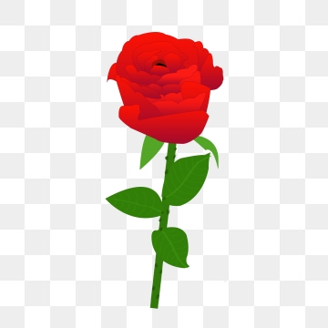 Flower Stem Png, Vector, And Clipart With Transparent 360x360 Flower Stem Png, Vector, And Clipart With Transparent