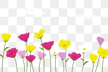 Flower Stems Png Images Vector And Free Download 360x240 Flower Stems Png Images Vector And Free Download