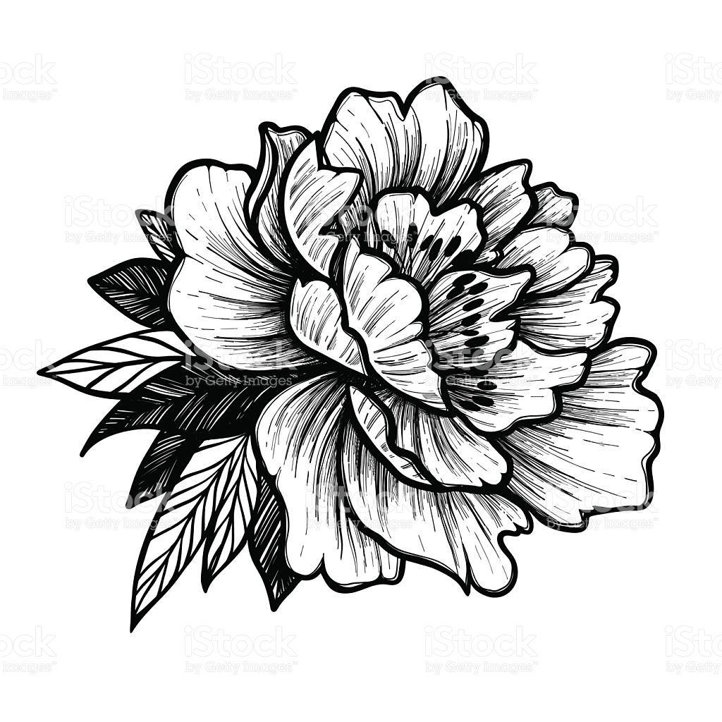 1024x1024 Flower Postcard Single Flower Art Art And Craft Cover Up Tattoo