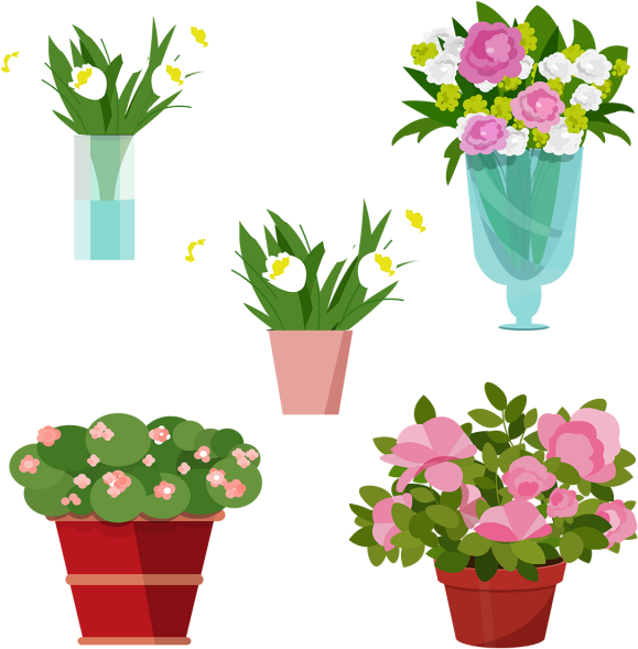 579x589 Hd Vase Vector Plant