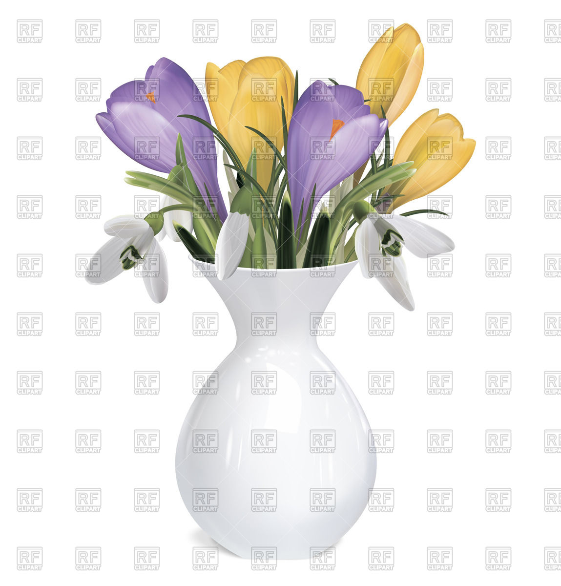 1149x1200 Spring Bouquet Of Crocuses And Snowdrops In Vase Vector Image