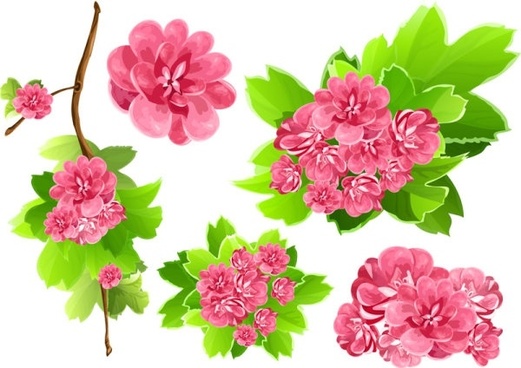 521x368 Flower Free Vector Download