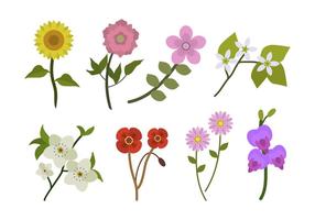 286x200 Flowers Free Vector Art