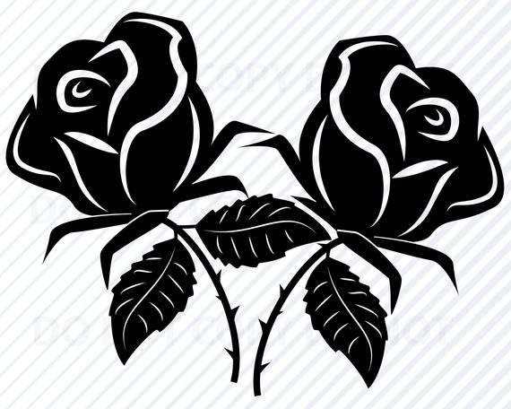570x456 Roses For Cricut Flower Vector Images Clipart Etsy