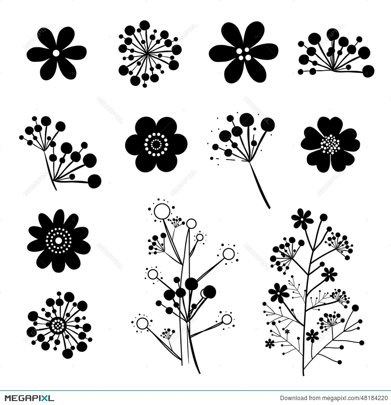 800x830 Vintage Flower Vector Illustration