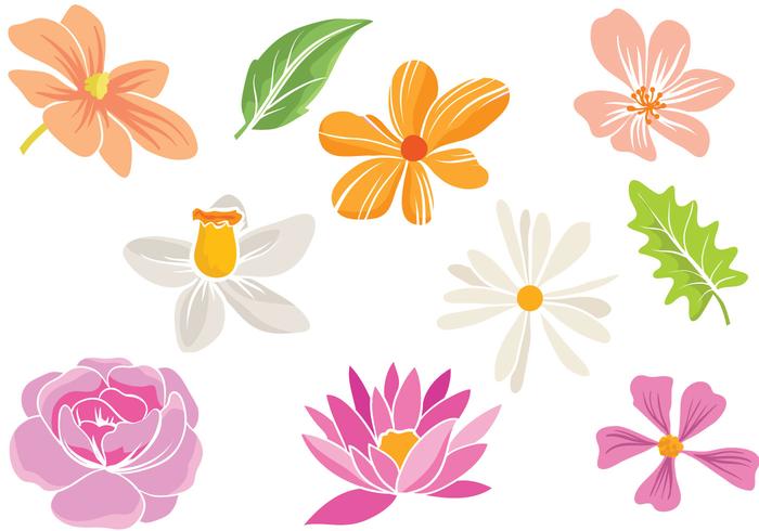 Free Simple Flowers Vectors 700x490 Free Simple Flowers Vectors