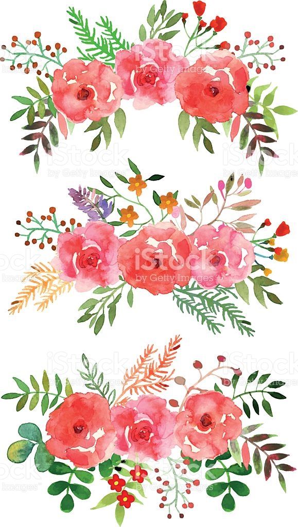 Vector Flowers Set Colorful Floral Collection With Leaves 579x1024 Vector Flowers Set Colorful Floral Collection With Leaves