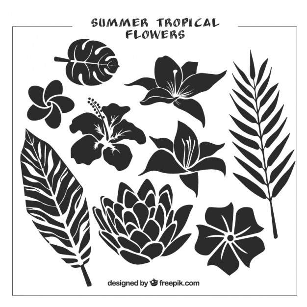 626x626 Collection Of Black Wild Flower Vector Free Download