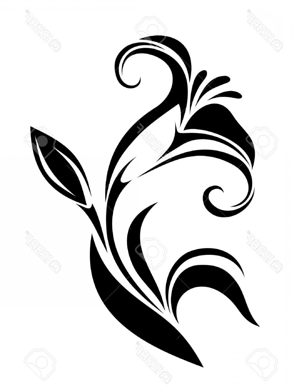 1170x1560 Photostock Vector Lily Flower Vector Black Silhouette Soidergi
