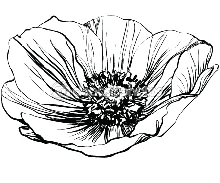 Black White And Floral Vectors Images 450x374 Black White And Floral Vectors Images