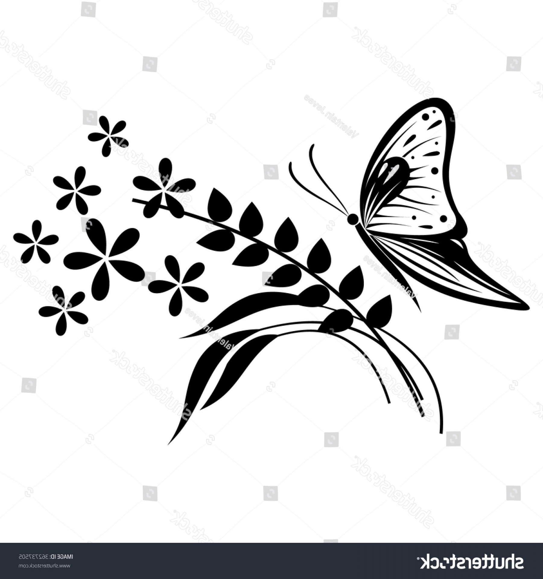 Цветы с бабочками ч/б вектор