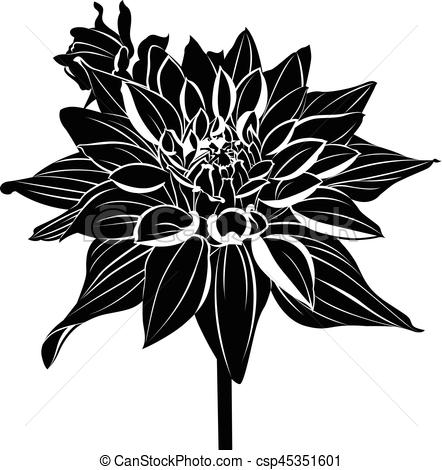 Dahlias Vintage Elegant Flowers Black And White Vector 442x470 Dahlias Vintage Elegant Flowers Black And White Vector
