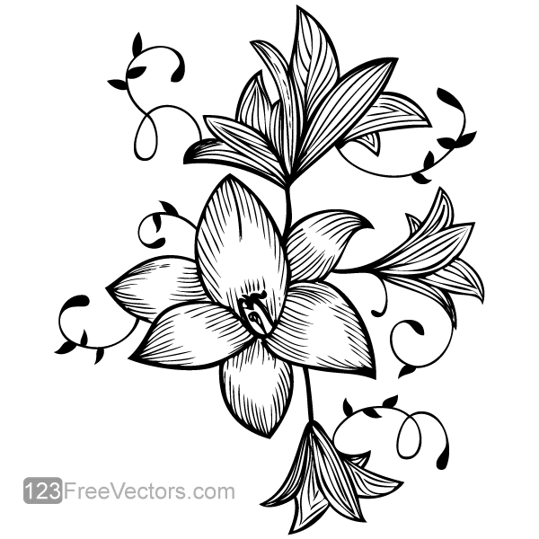 Flower Outline Vectors Download Free Vector Art Graphics 600x600 Flower Outline Vectors Download Free Vector Art Graphics
