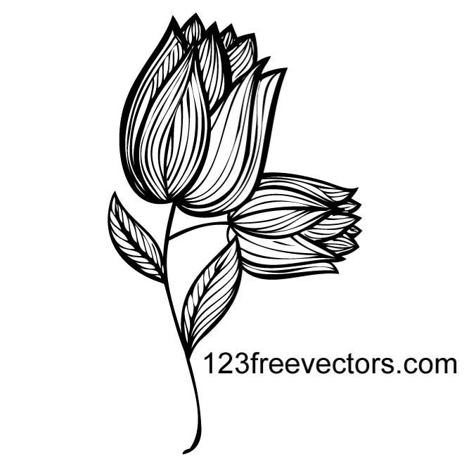 Hand Drawn Flower Vector 660x660 Hand Drawn Flower Vector