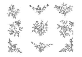 White Flower Free Vector Art 286x200 White Flower Free Vector Art