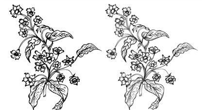 420x227 Free Sketchy Flowers Vector And Photoshop Brush Files, Vectors