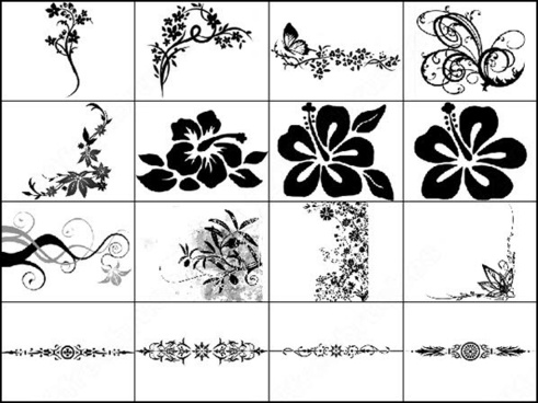 491x368 Free Hibiscus Flower Vector Photoshop Brushes Download