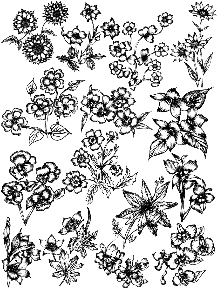 900x1200 Hand Drawn Sketch Flowers Vector And Photoshop Brush Pack