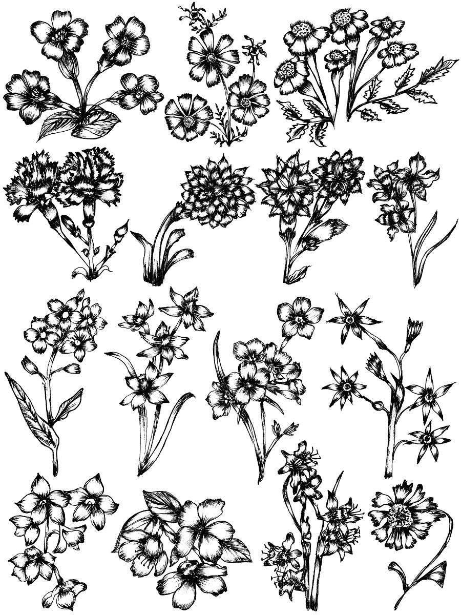 900x1200 Hand Drawn Sketch Flowers Vector And Photoshop Brush Pack