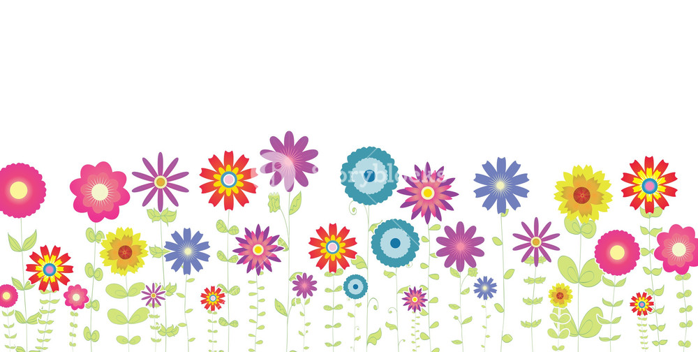 1000x504 Spring Flowers Vector Illustration Royalty Free Stock Image
