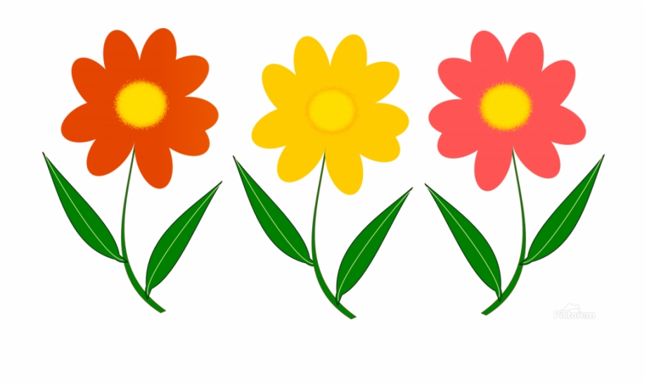 920x546 Three Colorful Flowers Acrylic Print