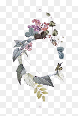 260x386 Flower Vector, Graphic Resources For Free Download