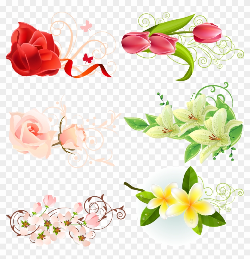 840x872 Flowers Vector