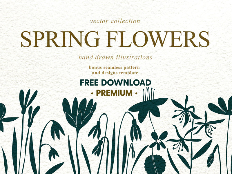 800x600 Spring Flowers Vector Collection