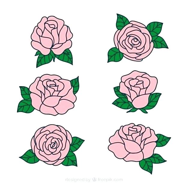 626x626 Flowers Free Vector