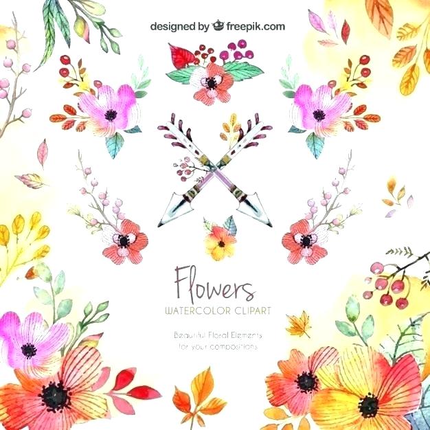 626x626 Vector Flowers Free Download