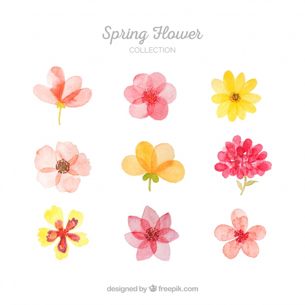 626x626 Collection Of Spring Flowers Vector Free Download