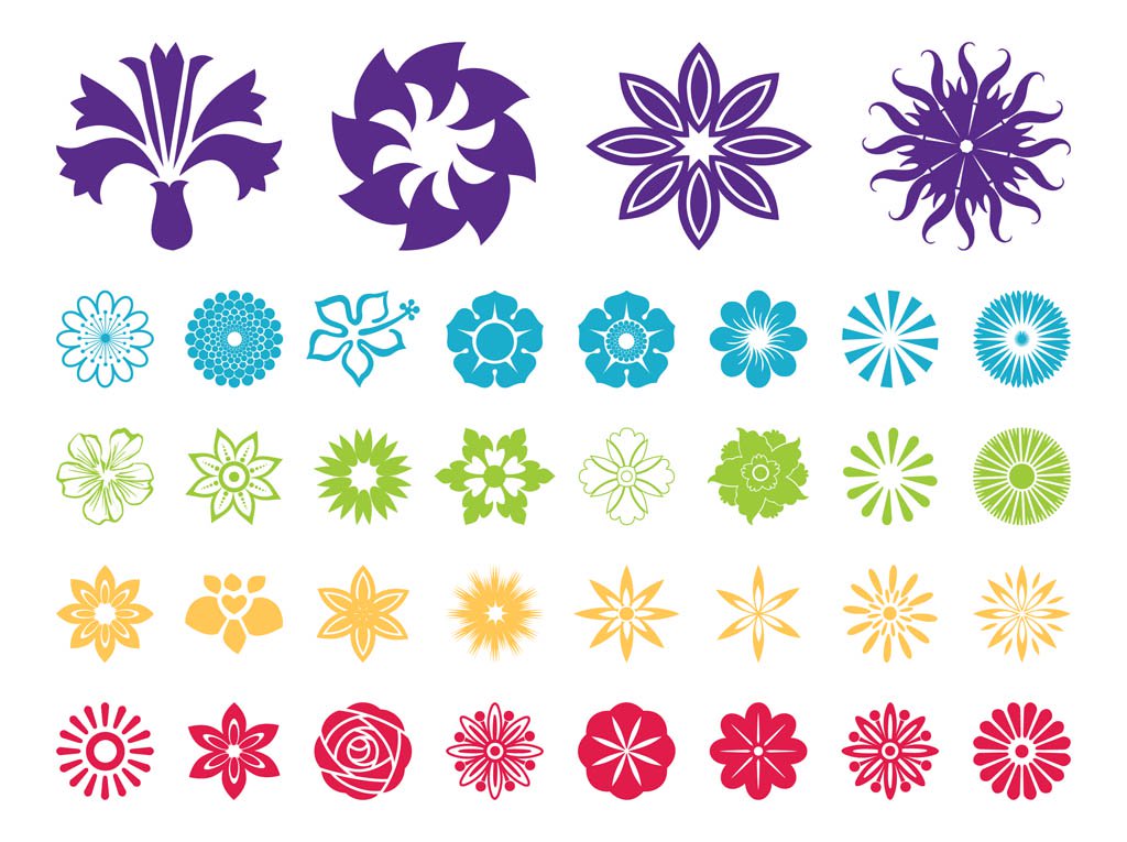 1024x765 Flower Blossoms Vector Graphics Vector Art Graphics