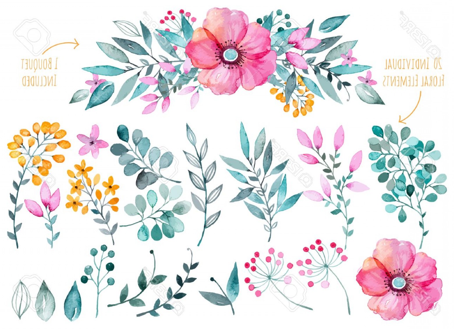 1560x1132 Flower Vector Floral Elements Cqrecords