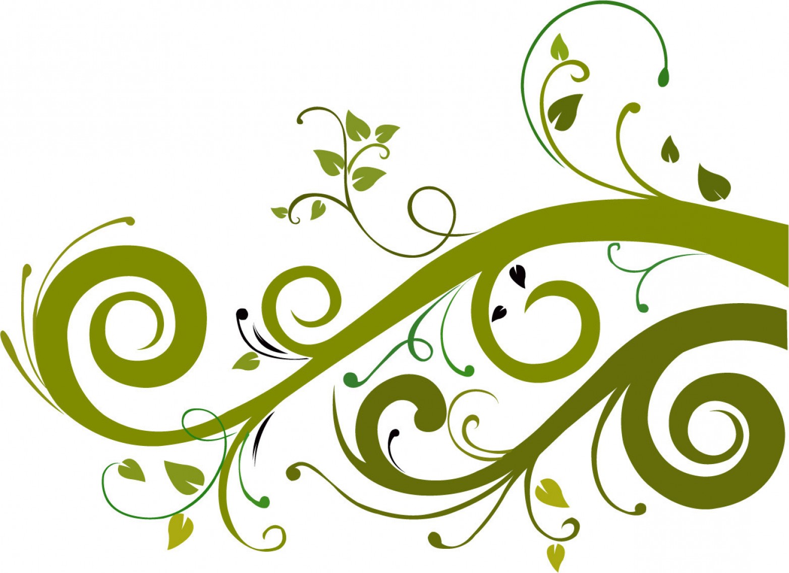 1564x1136 Graphic Design Art Flower Png Flower Png Vectors