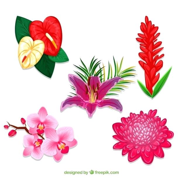 626x626 Flowers Free Vector