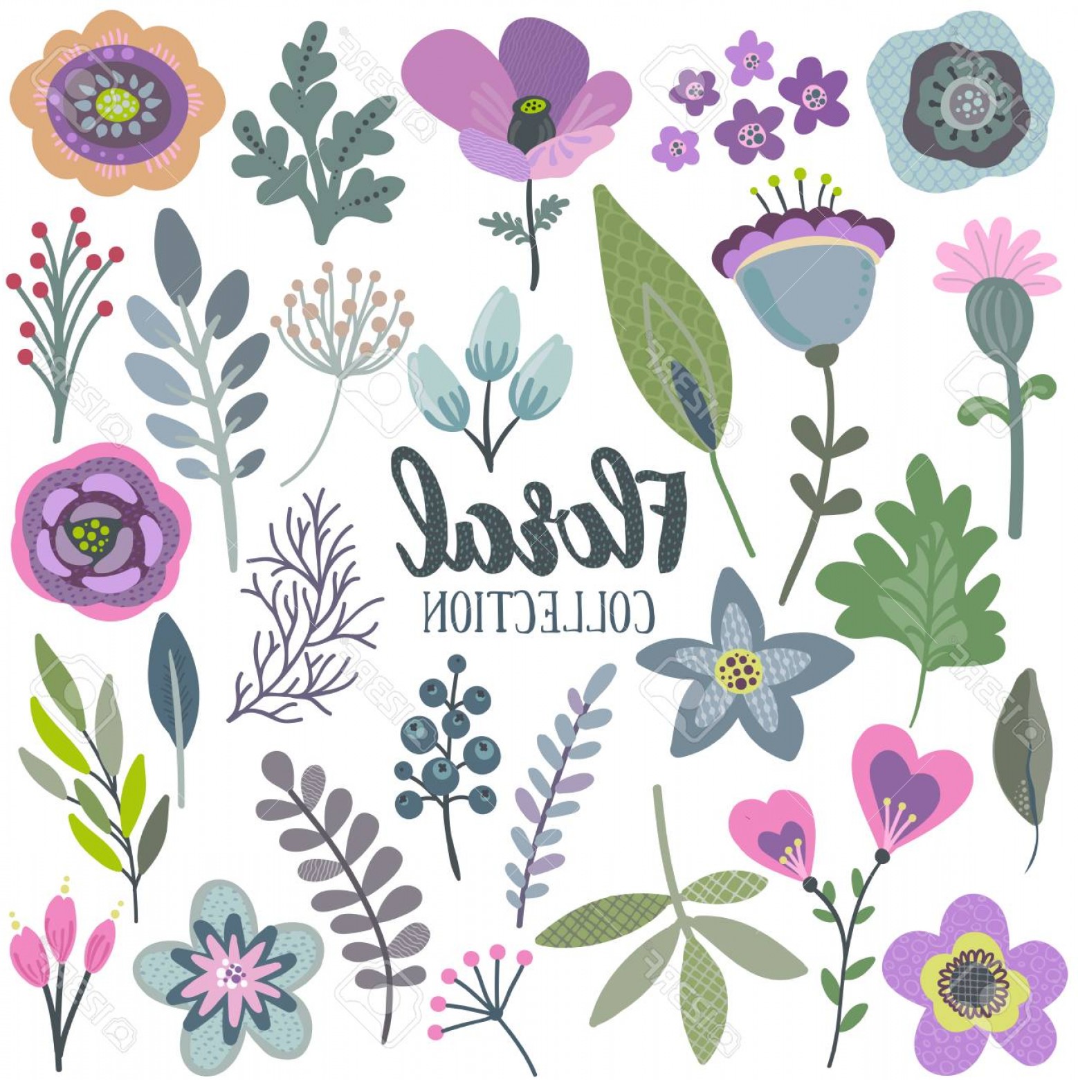 1558x1560 Beautiful Flowers Vector Graphic Sarahgardan