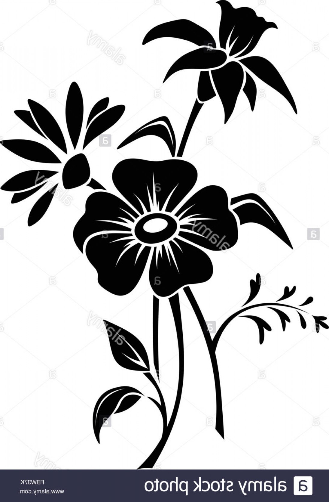 1095x1668 Black Flower Vector Art Catchsplace