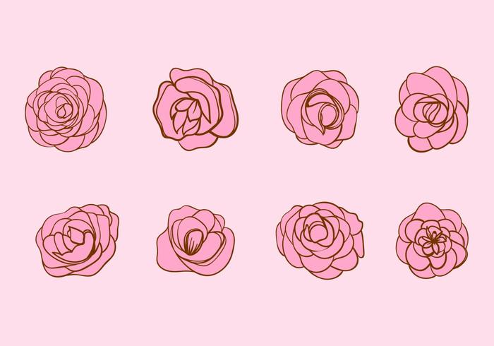 700x490 Flowers Free Vector Art