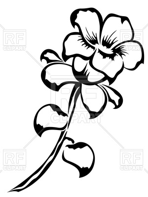 300x400 Outline Of Flower Vector Image Of Plants And Animals Natareal