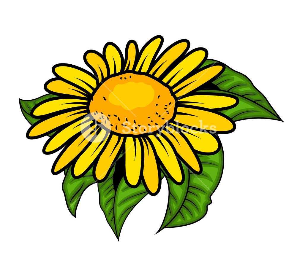 1000x870 Retro Yellow Flower Vector Design Royalty Free Stock Image