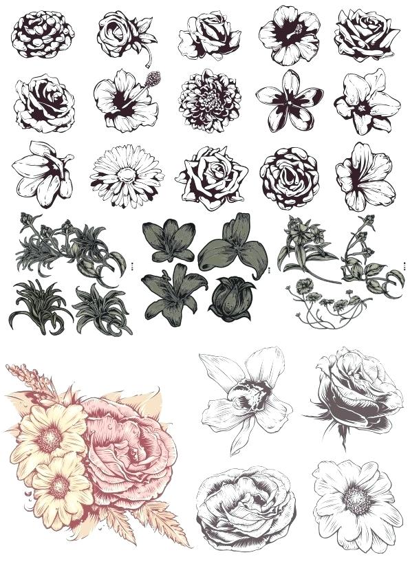 596x842 Flowers Vector Cdr Free Download