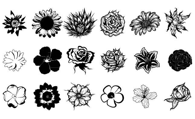645x395 Flowers Vector Pack