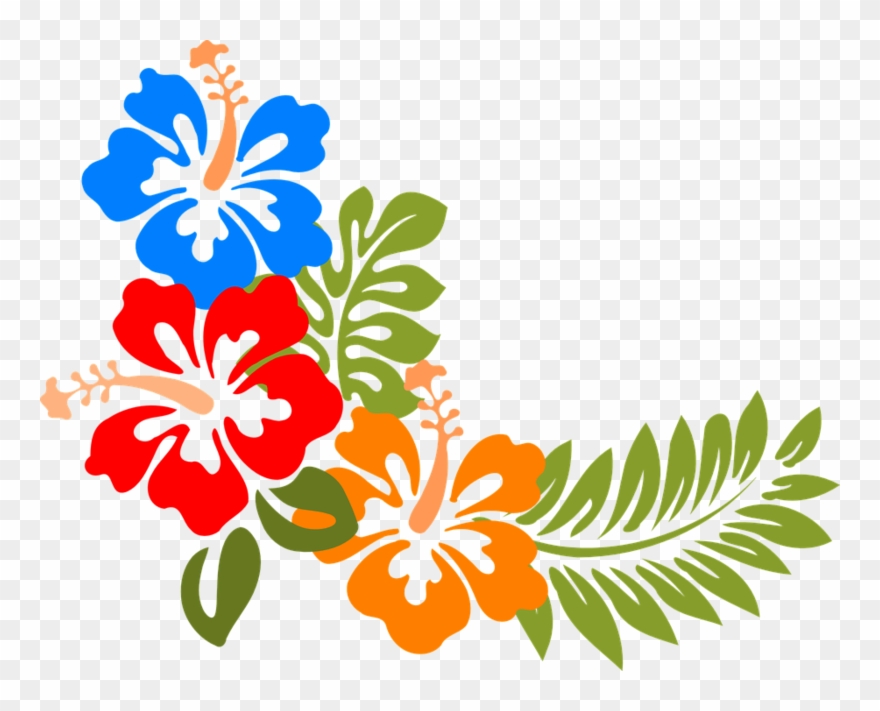 880x711 Hibiskus Hawaii Blumen Tropis