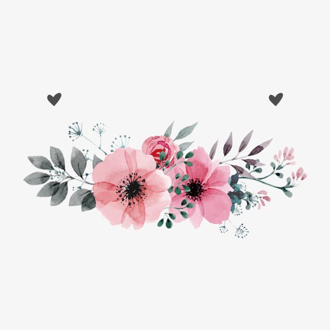 650x651 Pink Flowers Vector, Pink Flowers, Flower, Hand Painted Plants Png