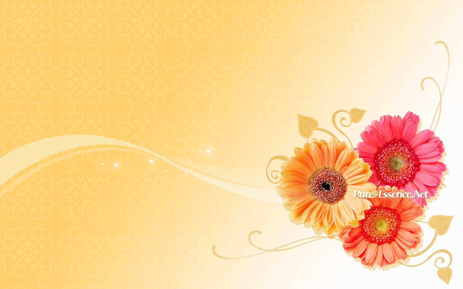 1920x1200 Vector Wallpapers On Wallpapersafari